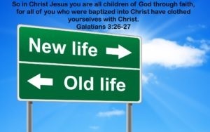 New Life in Christ Jesus